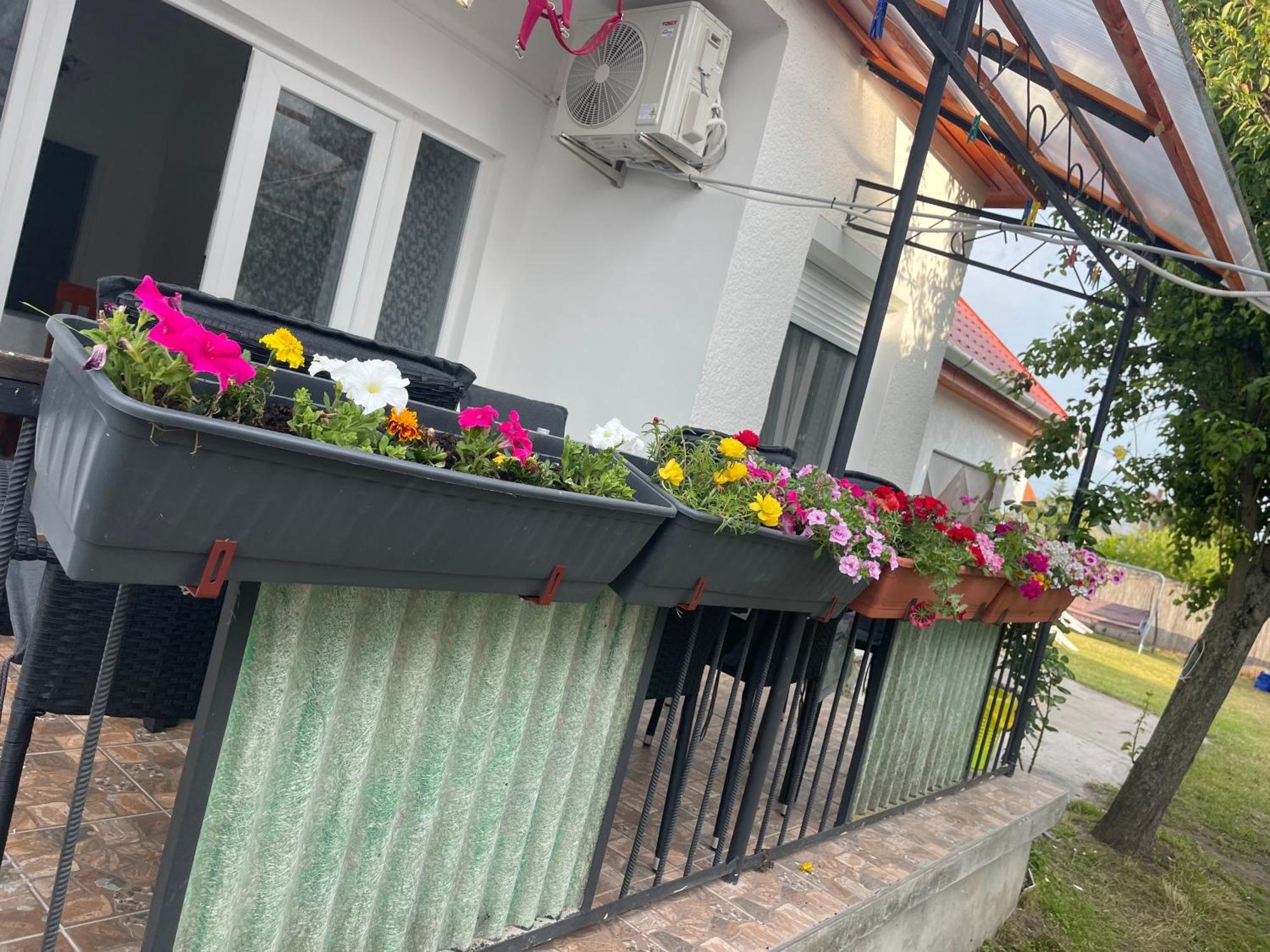 Valentina Apartman Balatonmáriafürdő Εξωτερικό φωτογραφία